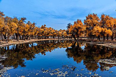 任天堂回应Switch2图片和视频泄露：都是非官方内容